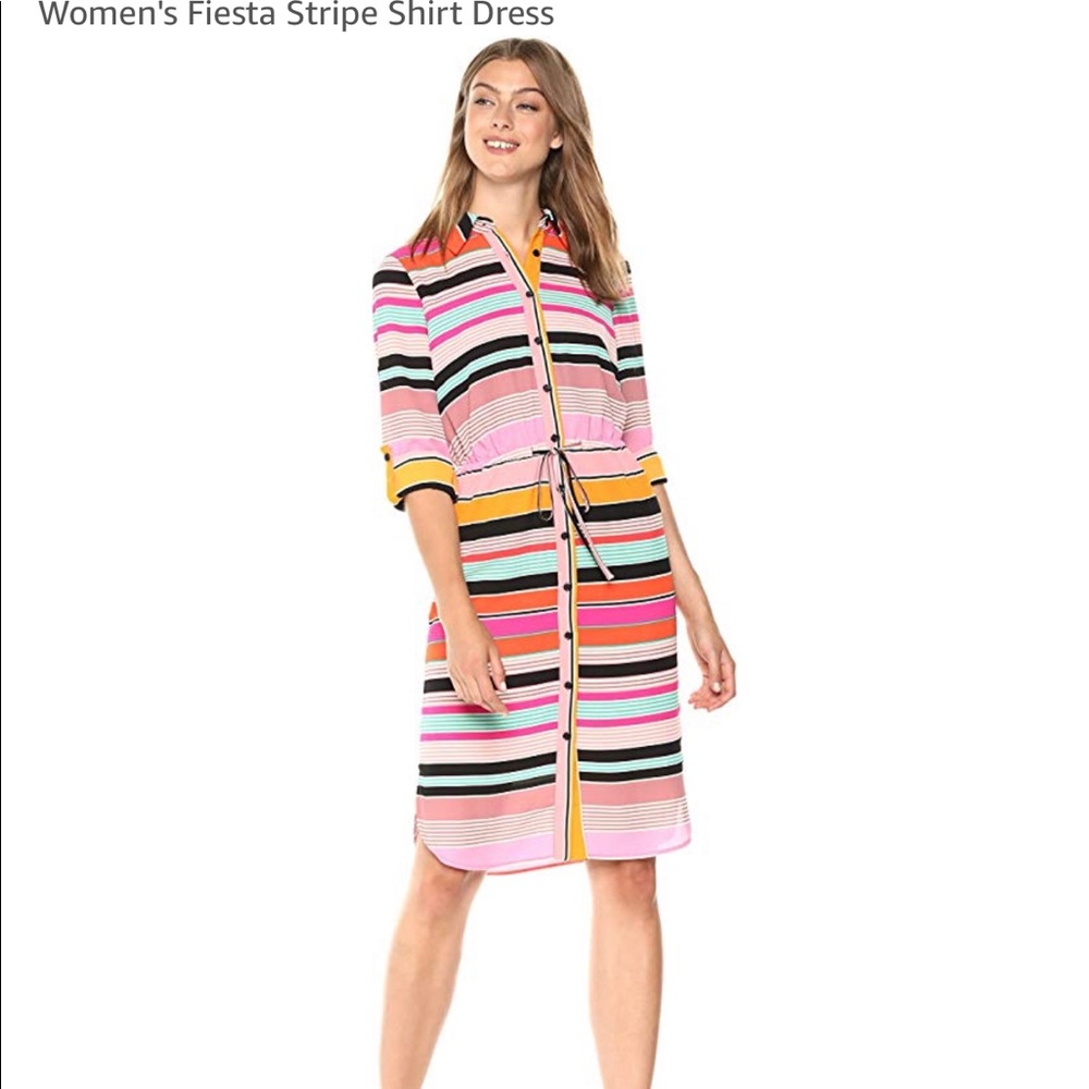 Adrianna Papell Georgette long sleeve dress